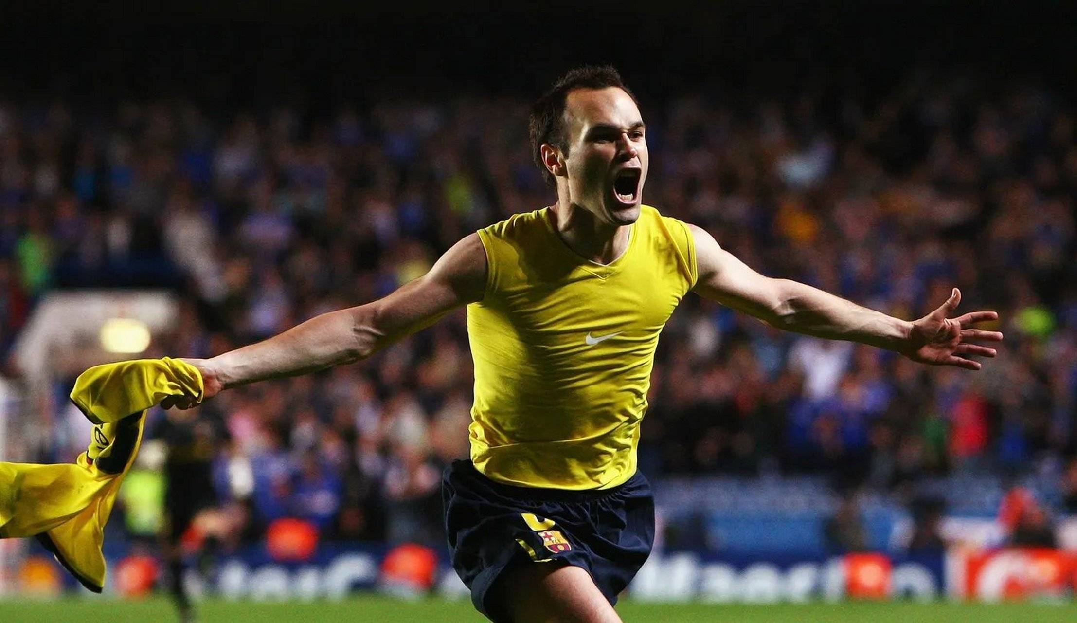 转折点！多伦多猛龙遗憾出局；葡超今晚攻防权衡；赛场秩序良好；训练强度明显提升的简单介绍-开云官方网站